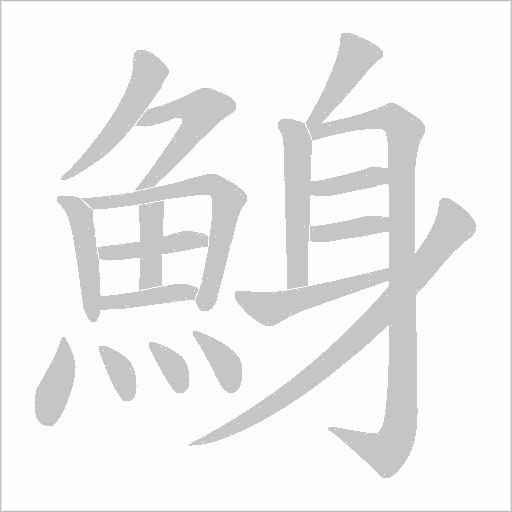 鯓的筆順動(dòng)畫演示