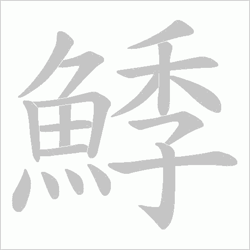 鯚的筆順動畫演示