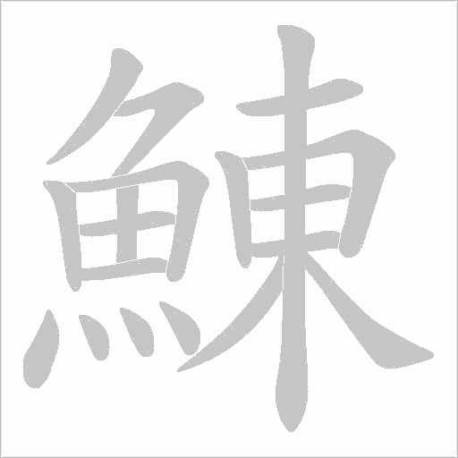 鯟的筆順動畫演示