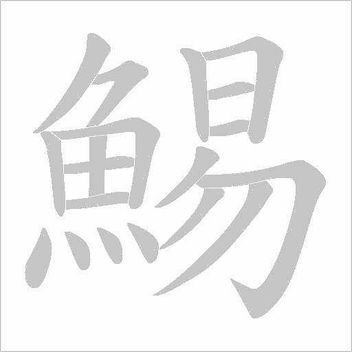 鯣的筆順動畫演示