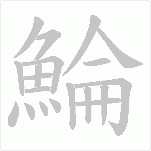 鯩的筆順動畫演示