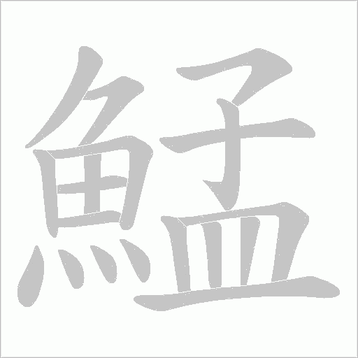 鯭的筆順動畫演示