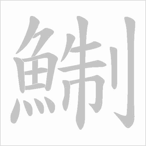 鯯的筆順動畫演示