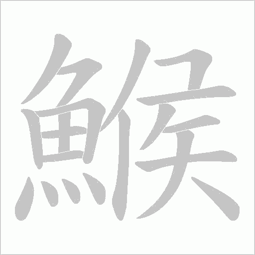 鯸的筆順動(dòng)畫(huà)演示