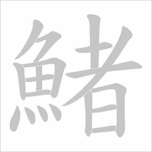 鯺的筆順動(dòng)畫(huà)演示