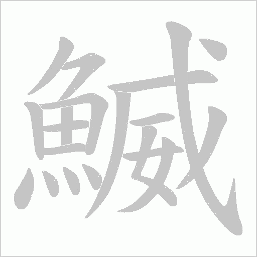 鰄的筆順動畫演示