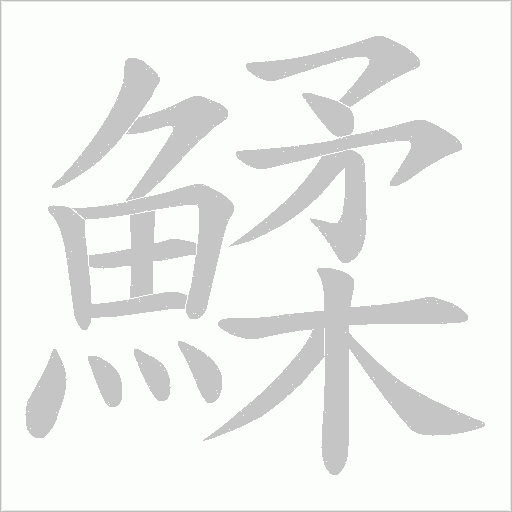 鰇的筆順動畫演示