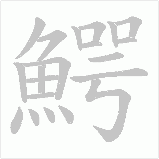 鰐的筆順動(dòng)畫演示