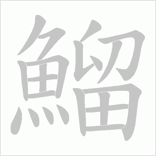 鰡的筆順動畫演示