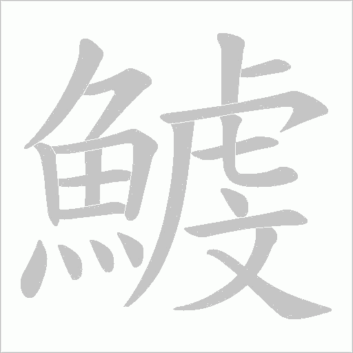 鰬的筆順動畫演示