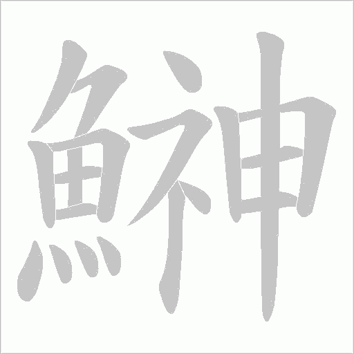 鰰的筆順動(dòng)畫(huà)演示
