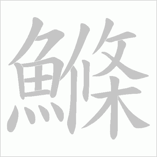 鰷的筆順動畫演示
