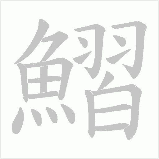 鰼的筆順動(dòng)畫演示