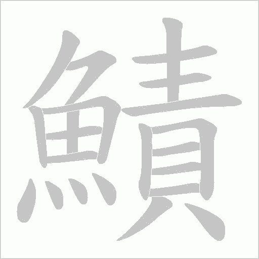 鰿的筆順動畫演示