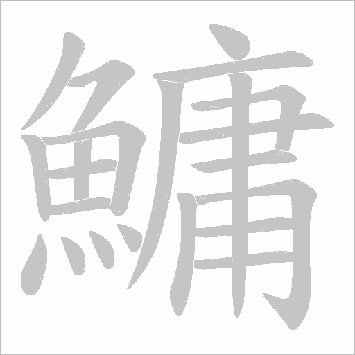 鱅的筆順動畫演示