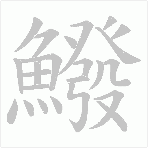 鱍的筆順動(dòng)畫演示