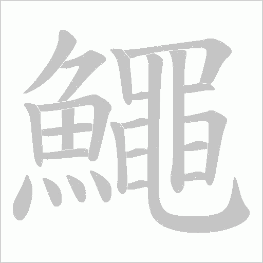 鱦的筆順動(dòng)畫演示