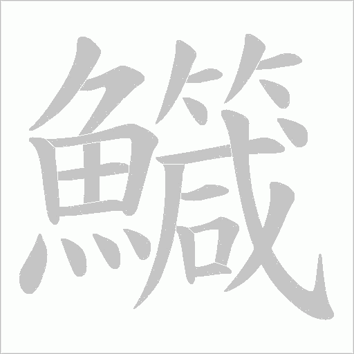 鱵的筆順動(dòng)畫(huà)演示