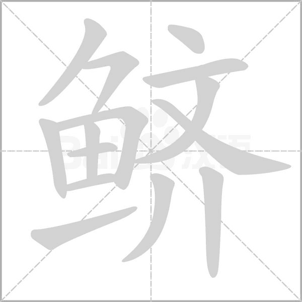 鱭的筆順動(dòng)畫演示