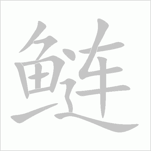 鰱的筆順動畫演示