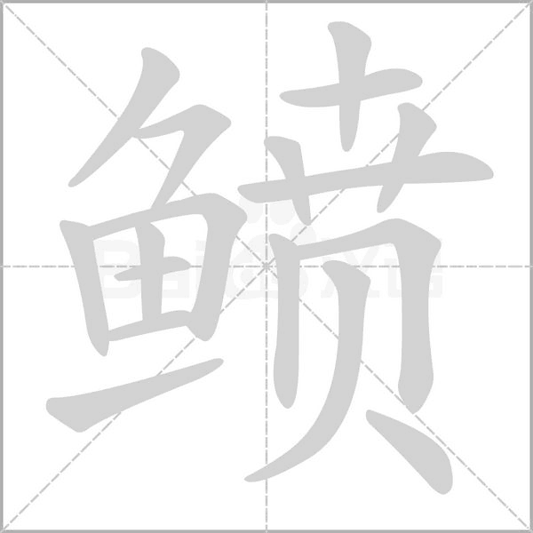 鲼的筆順動(dòng)畫(huà)演示