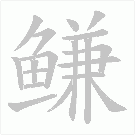 鳒的筆順動畫演示