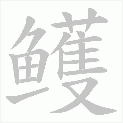 鳠的筆順動畫演示