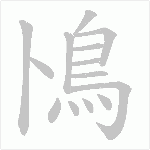 鳪的筆順動(dòng)畫(huà)演示