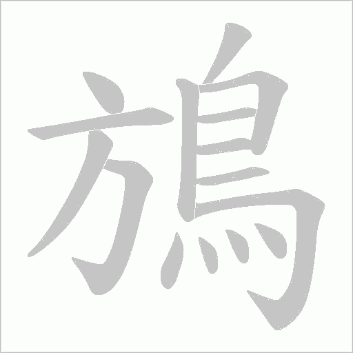 鴋的筆順動畫演示