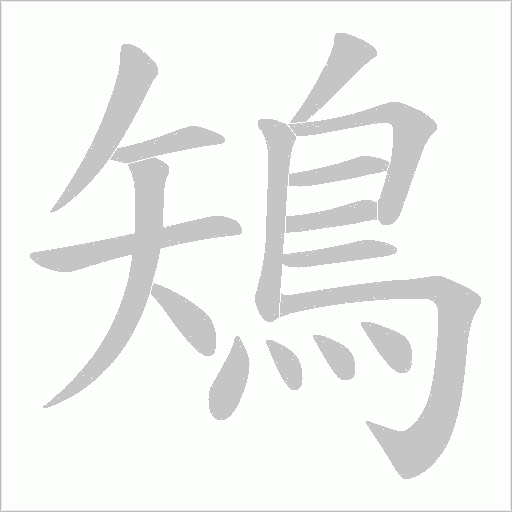 鴙的筆順動畫演示