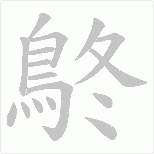 鴤的筆順動畫演示