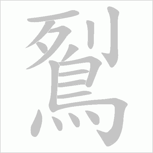 鴷的筆順動畫演示