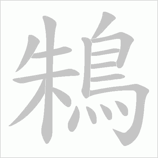 鴸的筆順動畫演示
