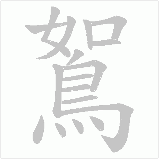鴽的筆順動畫演示