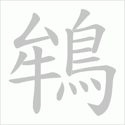 鴾的筆順動畫演示