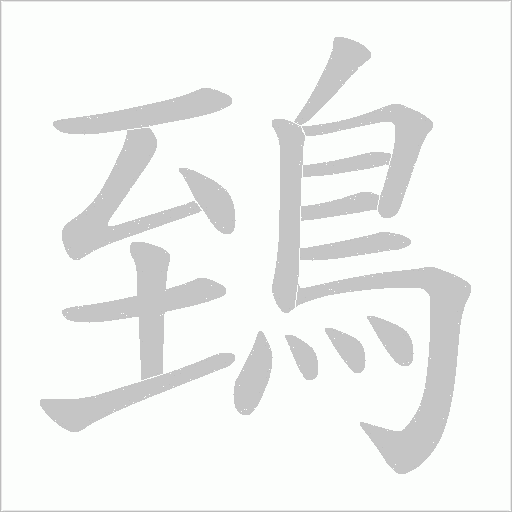 鵄的筆順動畫演示