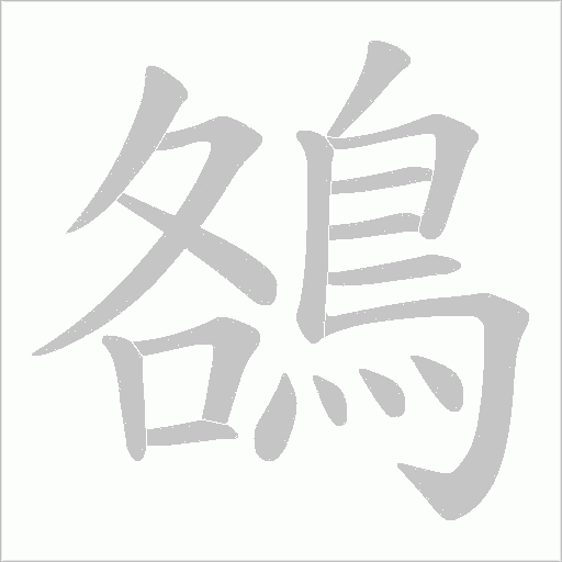 鵅的筆順動畫演示