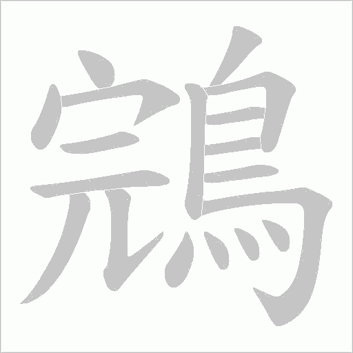 鵍的筆順動畫演示