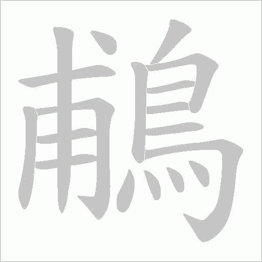 鵏的筆順動畫演示