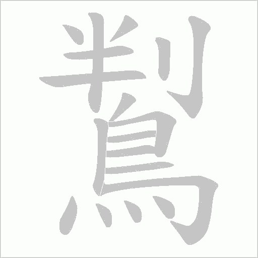 鵥的筆順動(dòng)畫演示