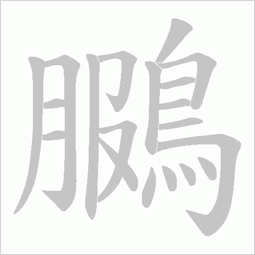 鵩的筆順動畫演示