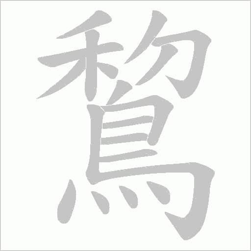鵹的筆順動(dòng)畫演示