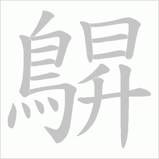 鵿的筆順動畫演示