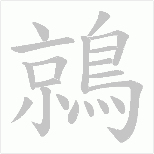 鶁的筆順動畫演示