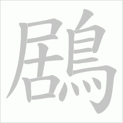 鶋的筆順動畫演示