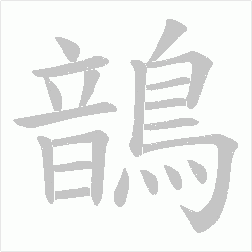 鶕的筆順動畫演示