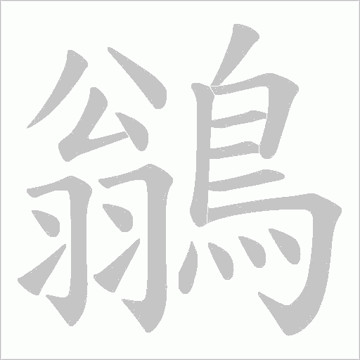 鶲的筆順動畫演示