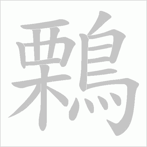 鷅的筆順動畫演示
