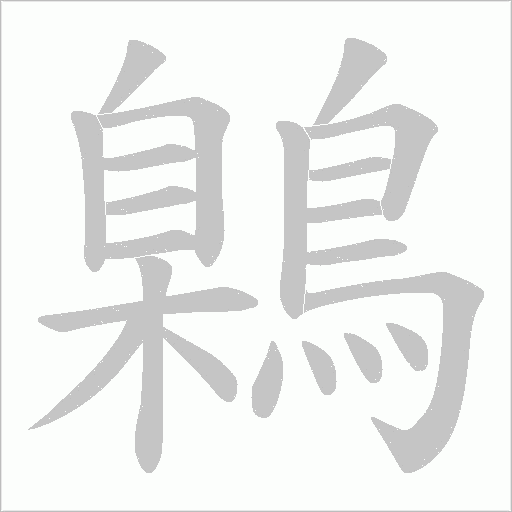 鷍的筆順動(dòng)畫演示