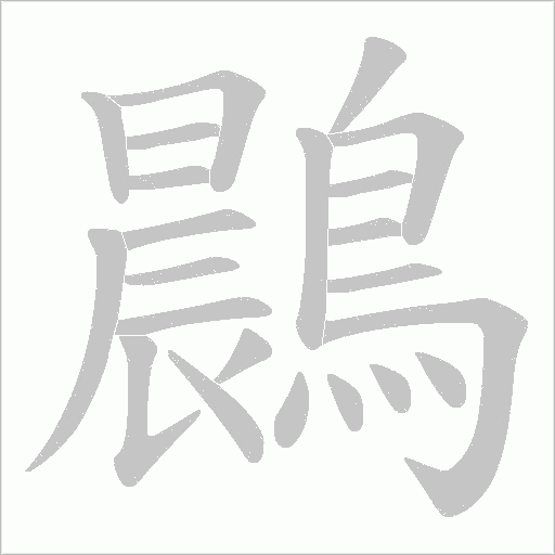 鷐的筆順動畫演示